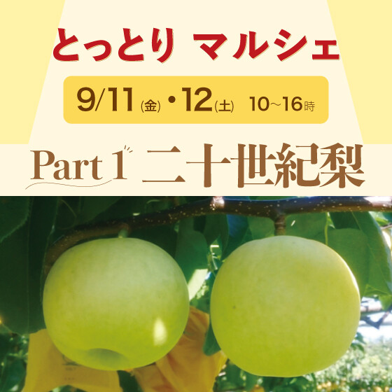 ✨Part 1 二十世紀梨✨とっとりマルシェ