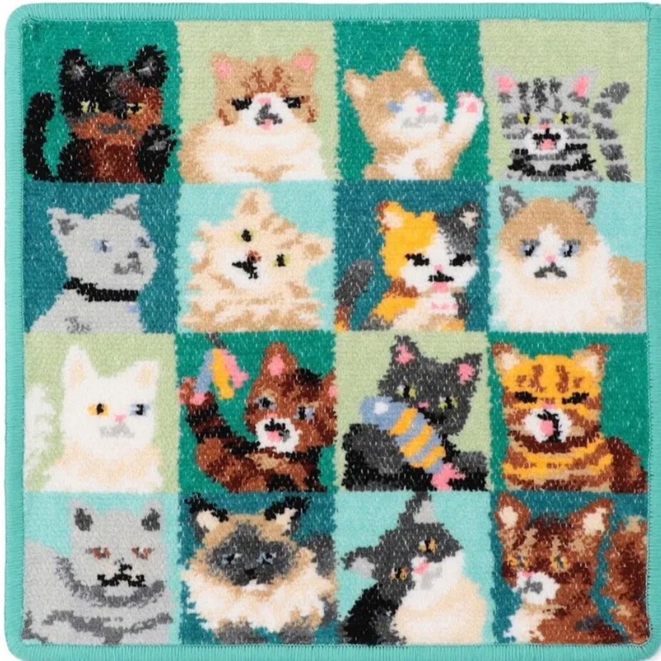 🐈 ルック！マイキャット🐈‍⬛