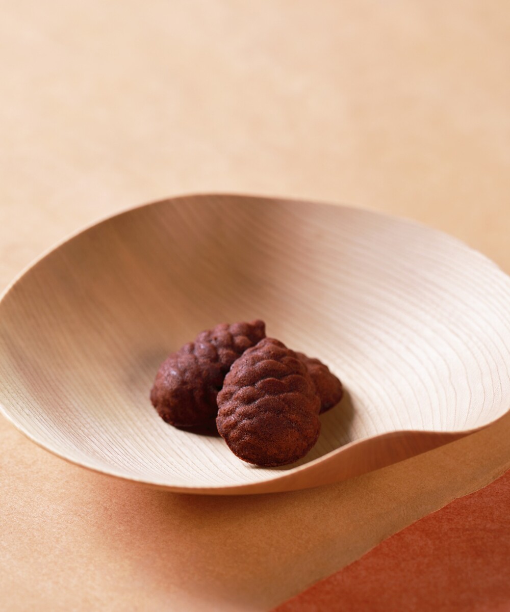 想い、実る　松笠ひろい（ショコラ）