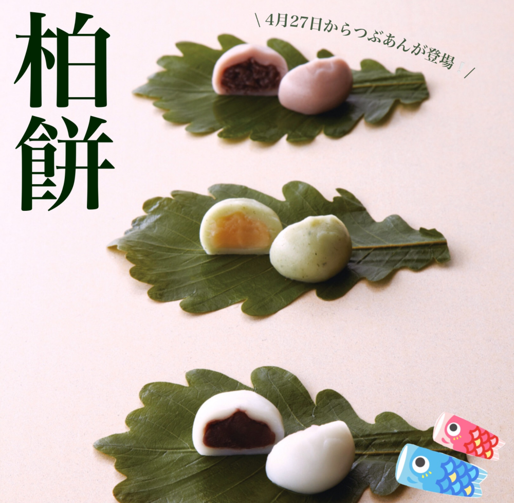 端午の節句に柏餅🌿