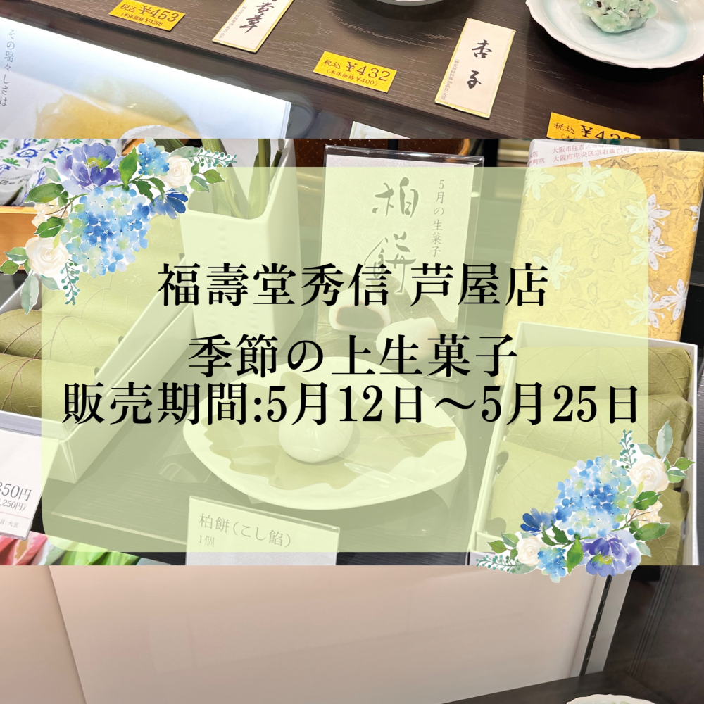 季節の上生菓子🍃