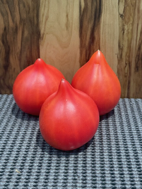 🍅フレッシュワン　トマトの食べくらべセット🍅