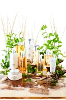 Bath and Bloom　POPUP
