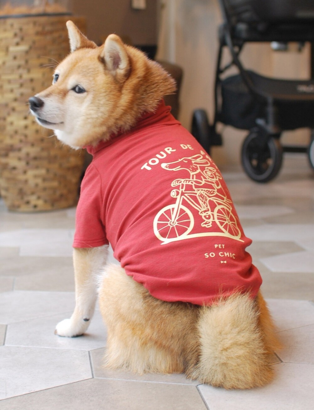 〈PET SO CHIC〉新商品のご紹介