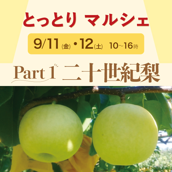 ✨Part 1 二十世紀梨✨とっとりマルシェ