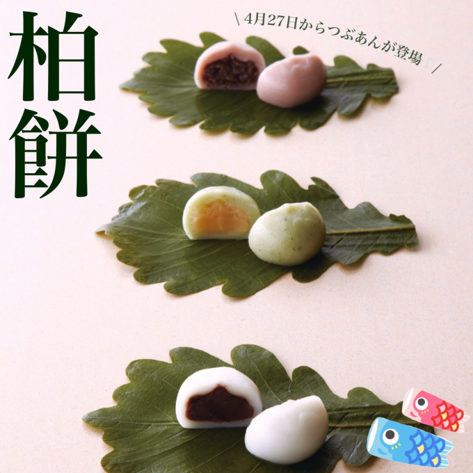 端午の節句に柏餅🌿