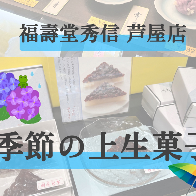 季節の上生菓子🌦️