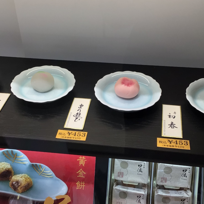 季節の上生菓子🌱