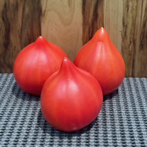 🍅フレッシュワン　トマトの食べくらべセット🍅