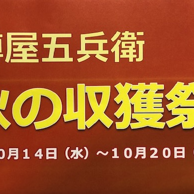 秋の収穫祭　【日本の秋味　Autum Festival】