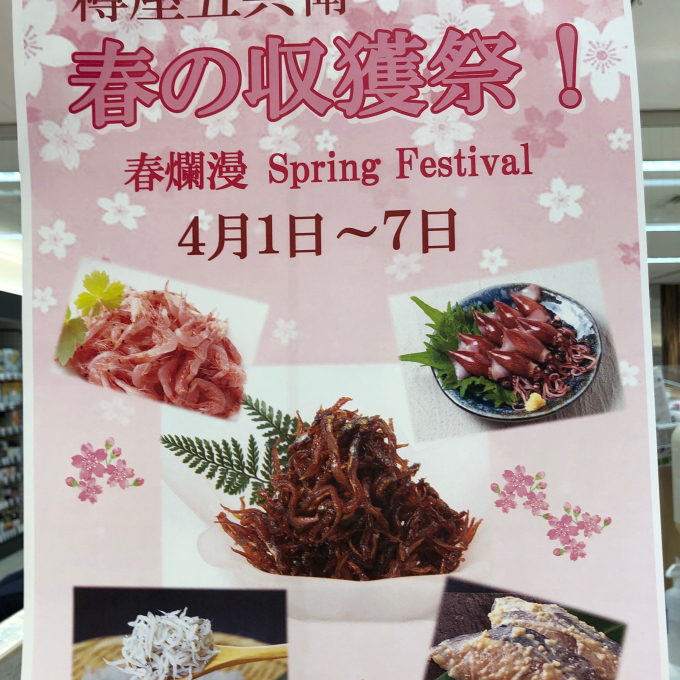 🌸『春の収穫祭！』🌸開催中！！