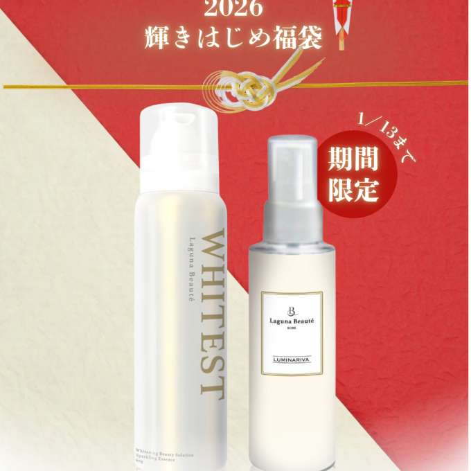 新品 FEILER フェイラー パサージュスリール 　ストレージバスケット M ☆新品タグ付き☆フェイラー パサージュスリール ストレージバスケット