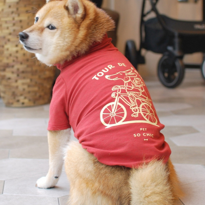 〈PET SO CHIC〉新商品のご紹介