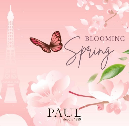 ＜PAUL＞～春の訪れを祝う桜～