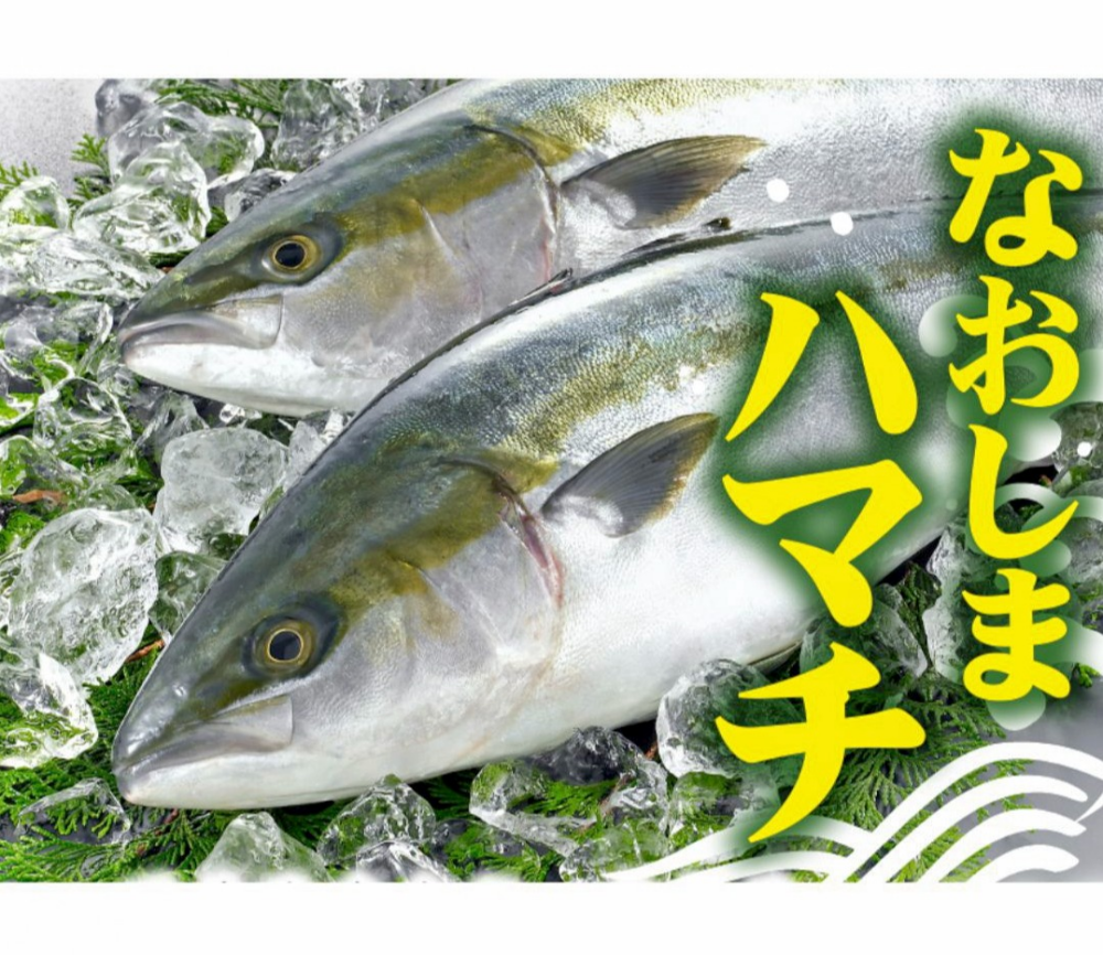 〈中島水産〉香川県祭✨