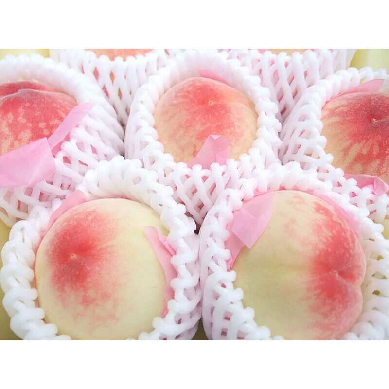 岡山県内で栽培している農家は１軒のみ🍑✨