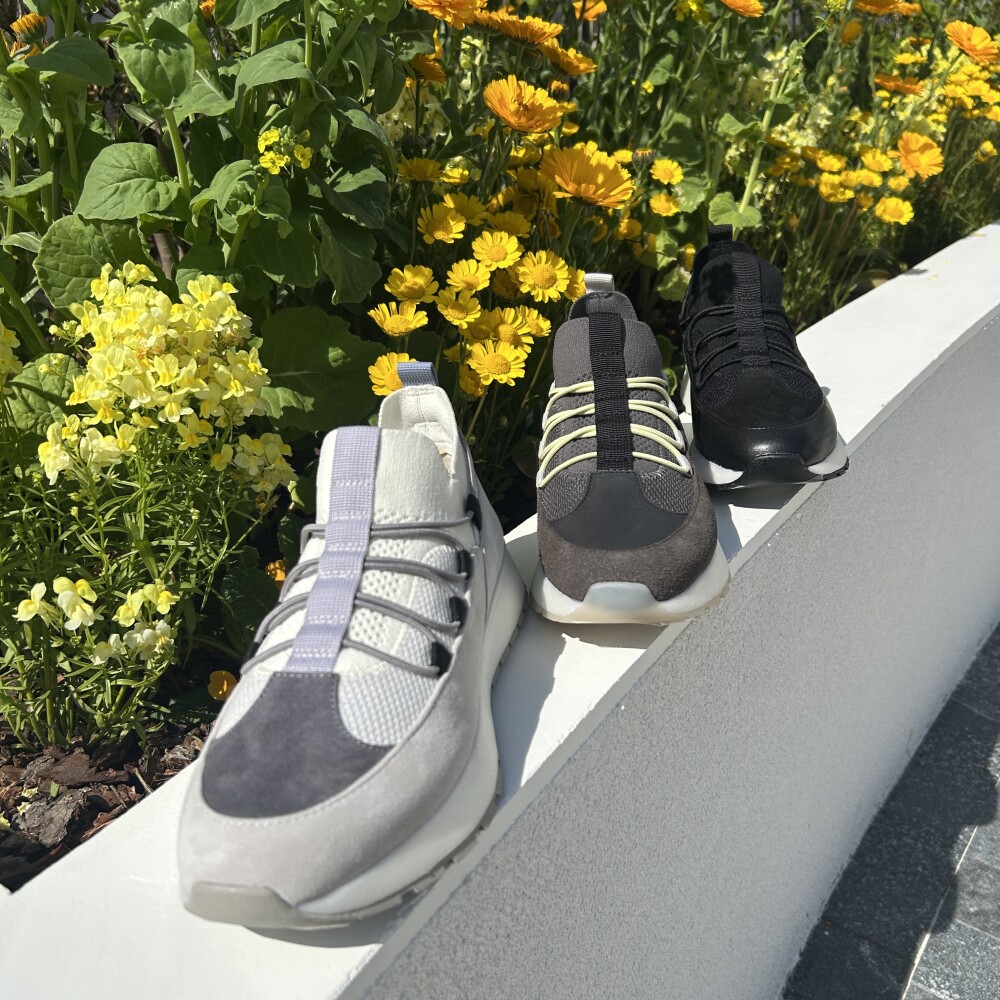 REGAL 〜Lifestyle Collection〜