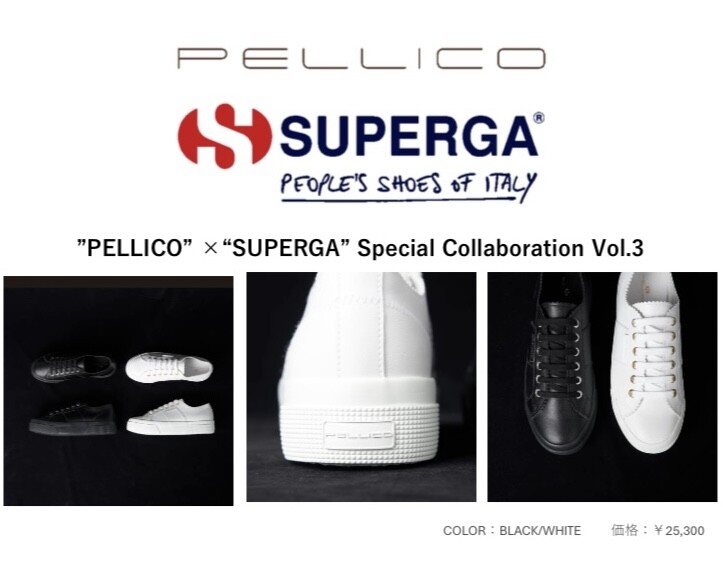PELLICO × SUPERGA　コラボスニーカー入荷しました！