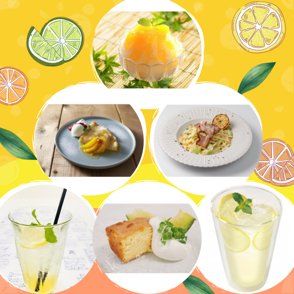 さわやかに気分転換♪ シトラスメニュー🍋🍊【喫茶＆レストラン編】