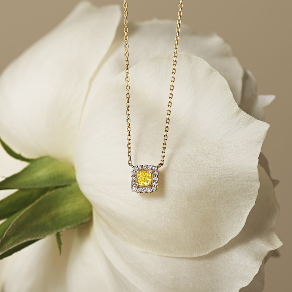 🌸Spring collectionのご紹介🌸