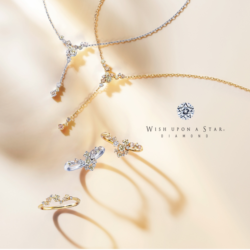 【2026 Spring Limited】champel✨