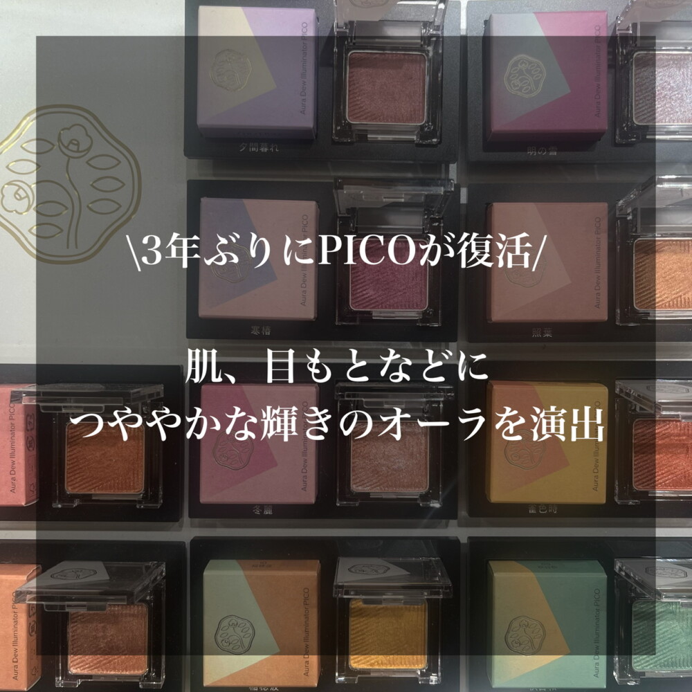 数量限定PICOのマルチパウダー登場💐