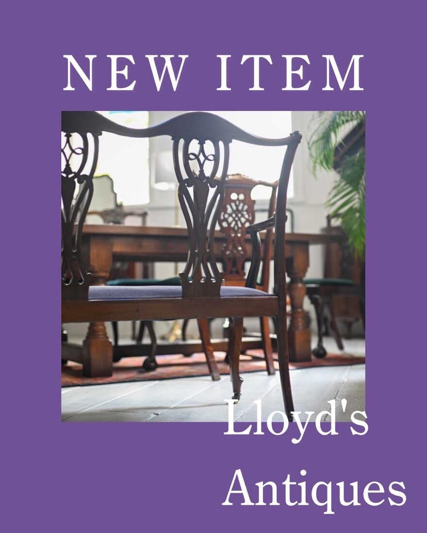 気品溢れる英国セティ〈ロイズ・アンティークス〉