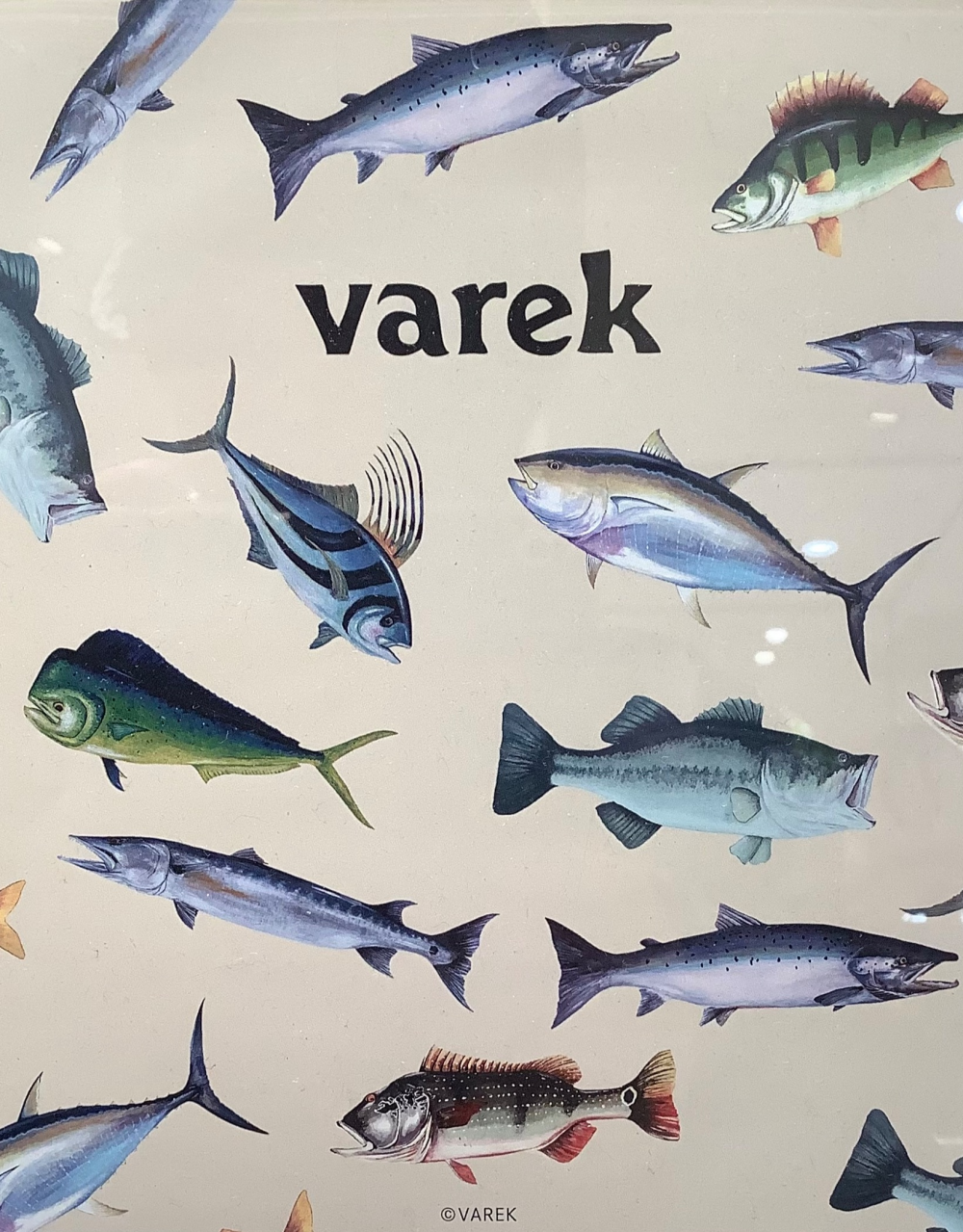 varek × CA4LA
