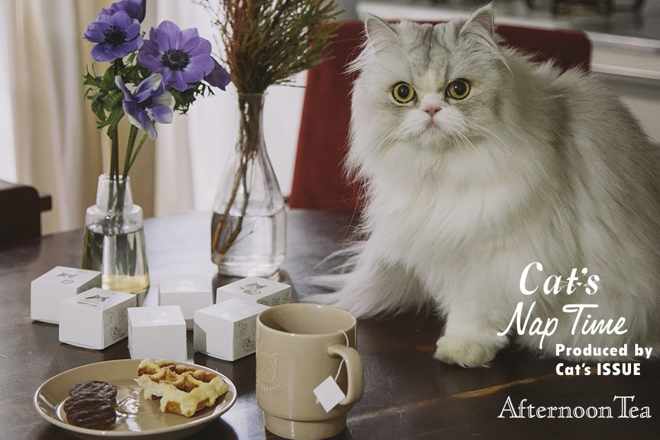 2/15発売！Cat's ISSUEとAfternoon Teaのコラボレーション！