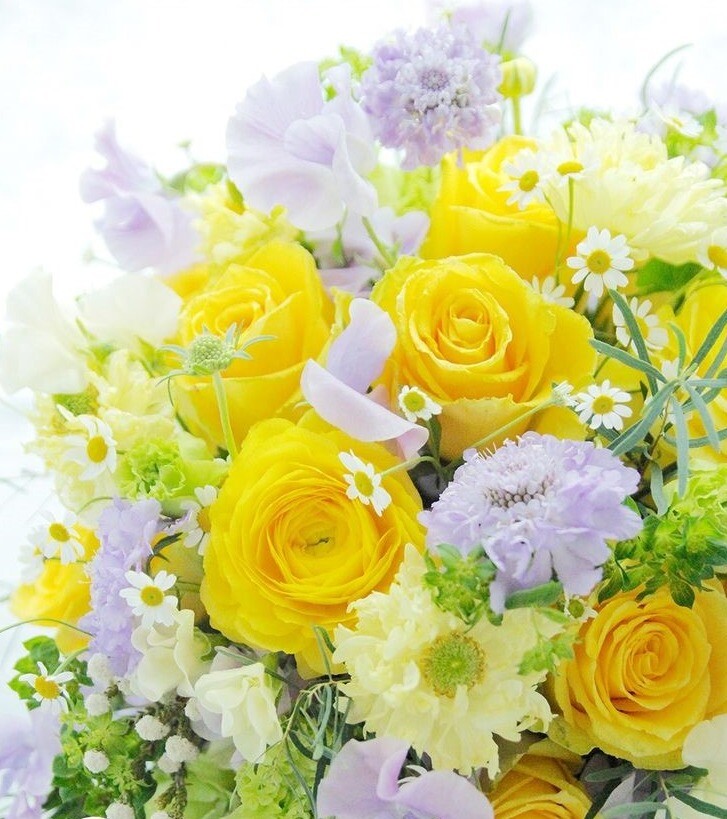 リビングマルシェ