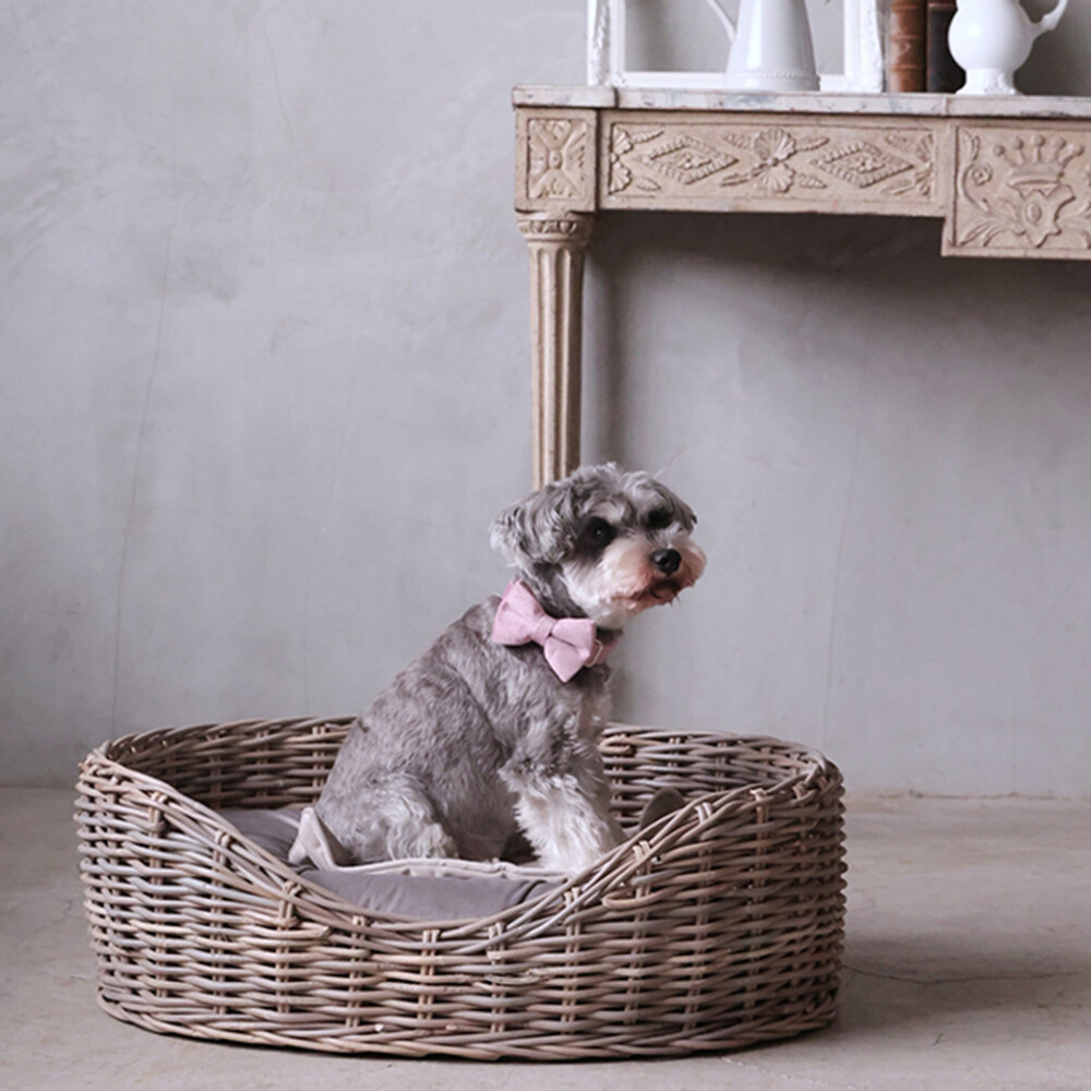 インテリアと調和する、ラグジュアリーペットベッド