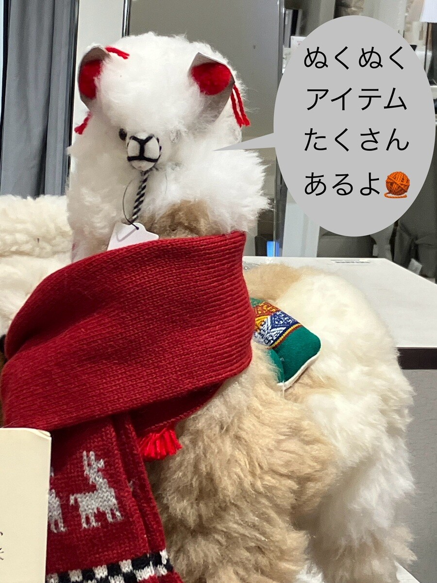 【あったかアルパカニット特集】