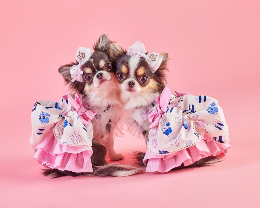 【CandyBuppie 2026 S/S POP-UP SHOP】 