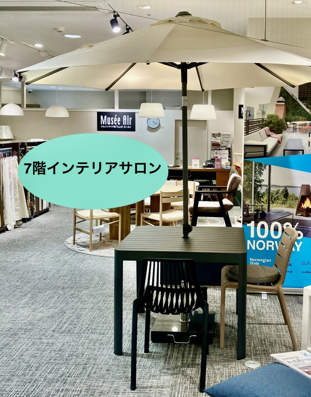 楽しいガーデンライフ⛱️屋外パラソル