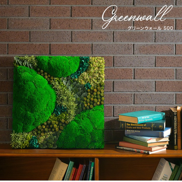 【リビングマルシェ】自然をそのまま切り取って・・・新しいグリーンの飾り方