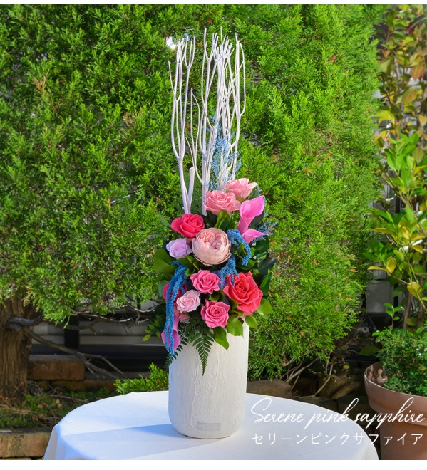 Spring Collection 2026