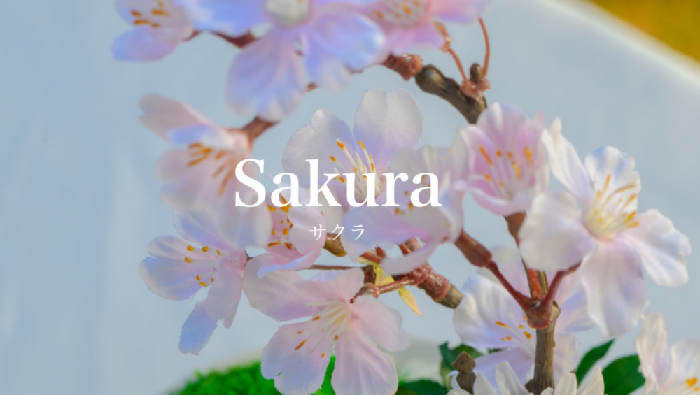 ✨🌸✨Sakura Serene✨🌸✨