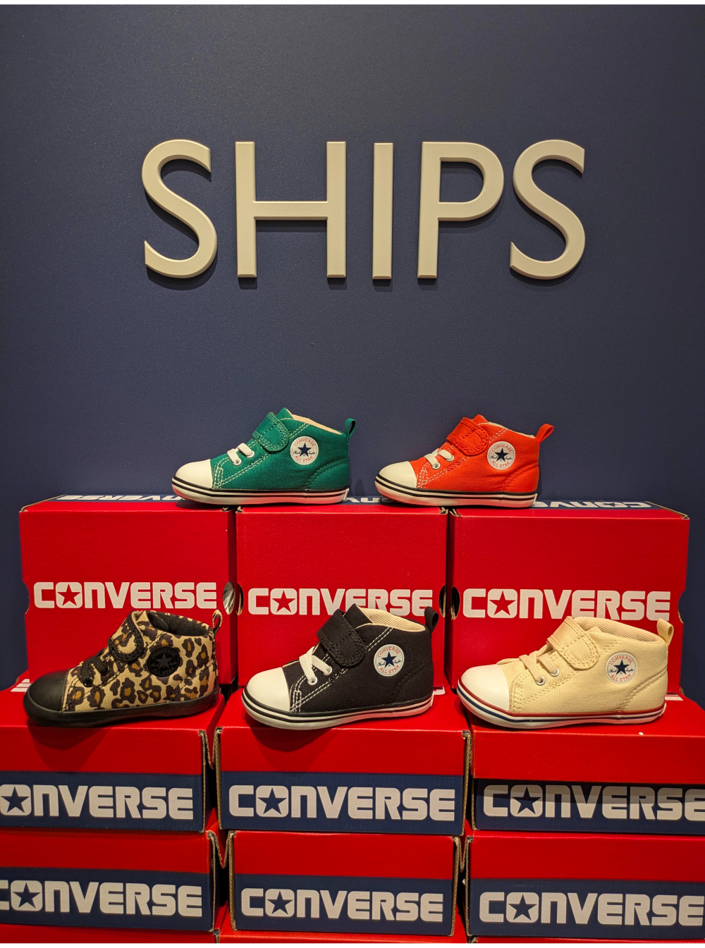 【CONVERSE V-1】家族みんなでコンバース !!