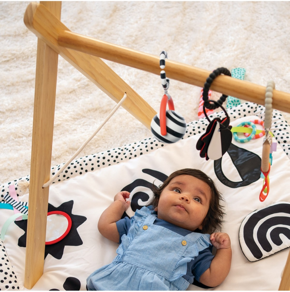 NEW！乳児向け知育玩具ウィマーシリーズ