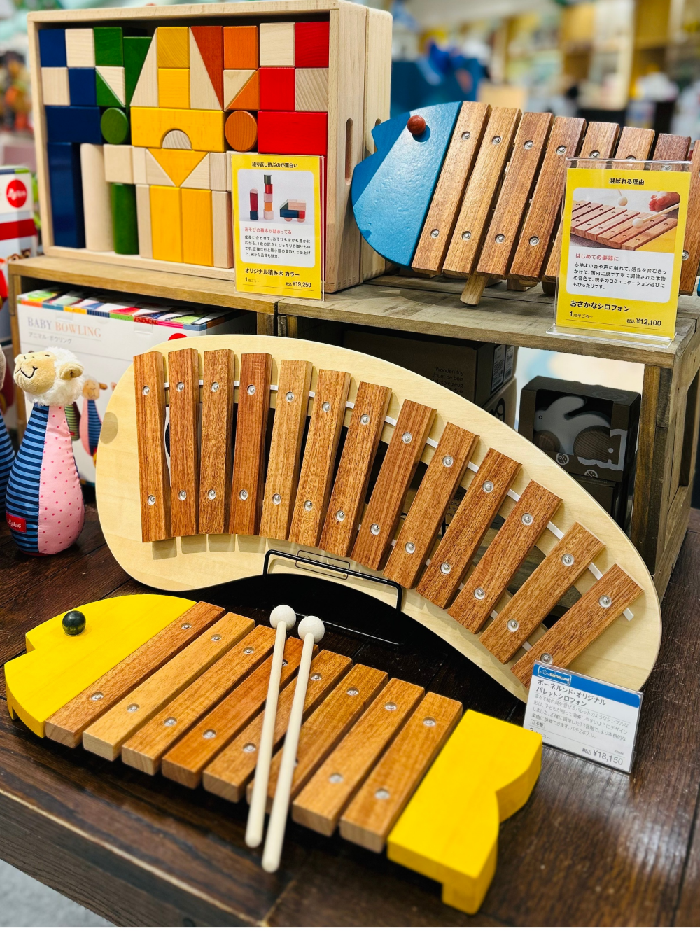 シロフォン音楽隊による『シロフォン演奏会』を開催します♪