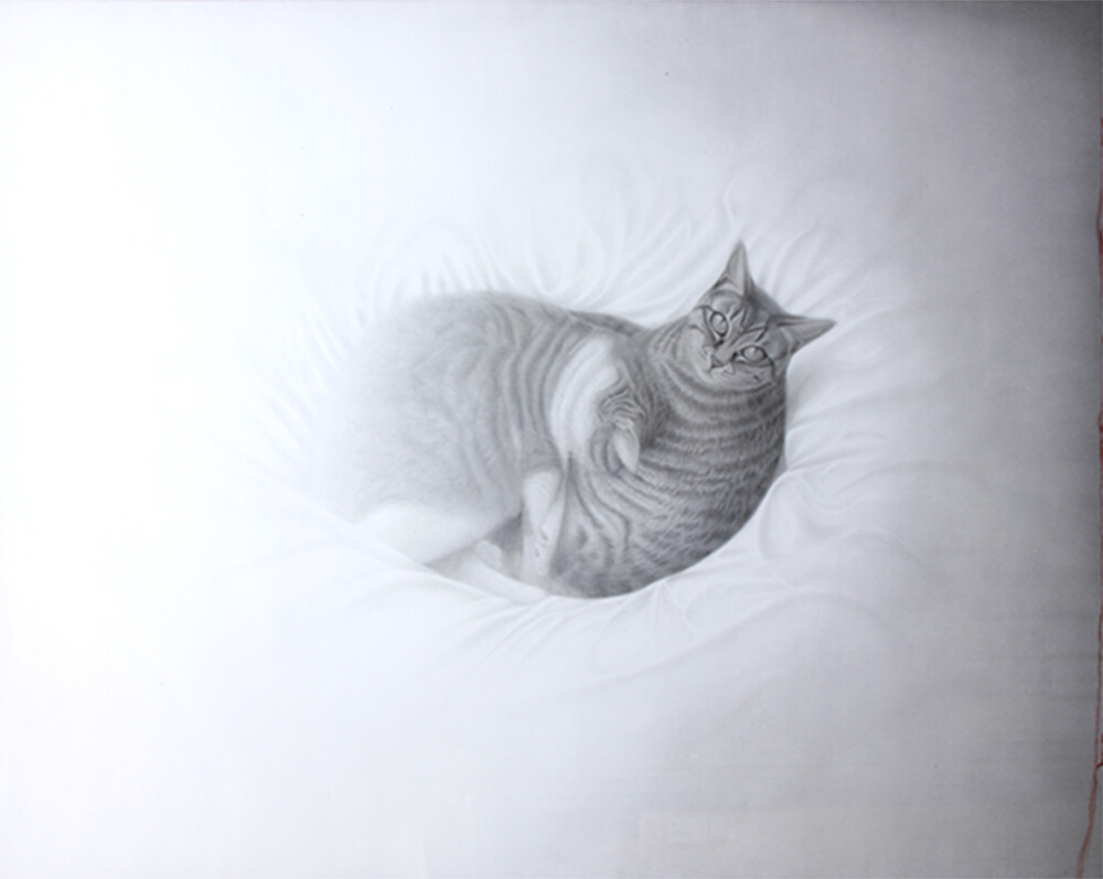 渡邉 康太 個展 －標(しるべ)－