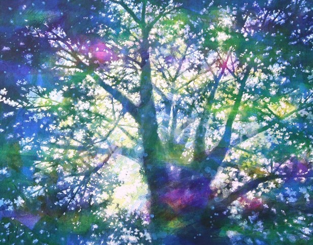 【予告】【吉川龍絵画展】　10/14(水)～20(火)開催します⭐️