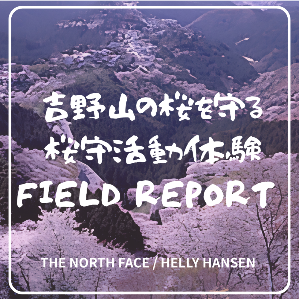 【吉野山】桜守活動体験レポート