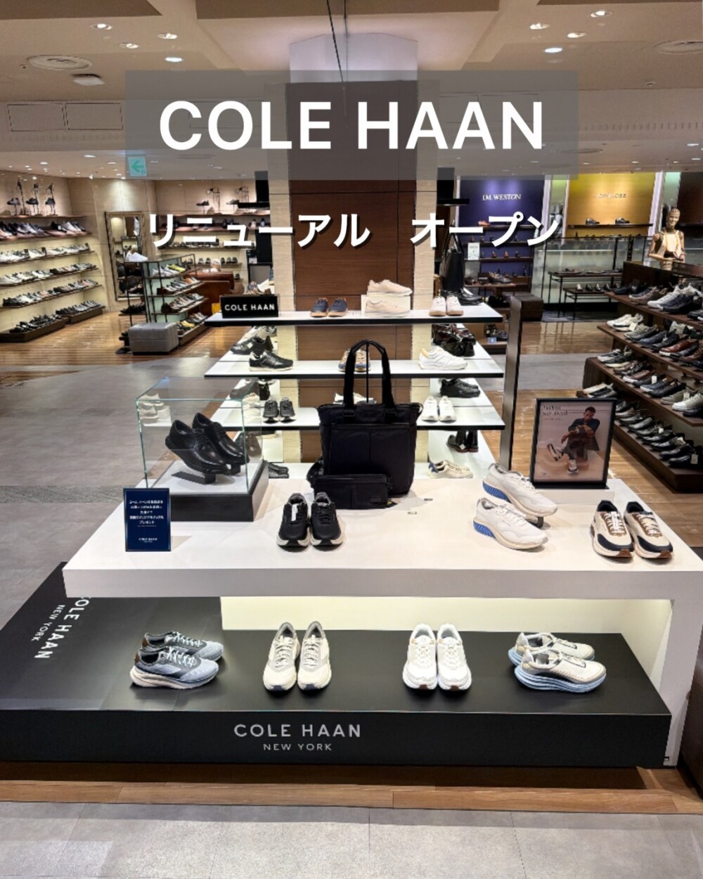 COLE HAAN リニューアルオープン