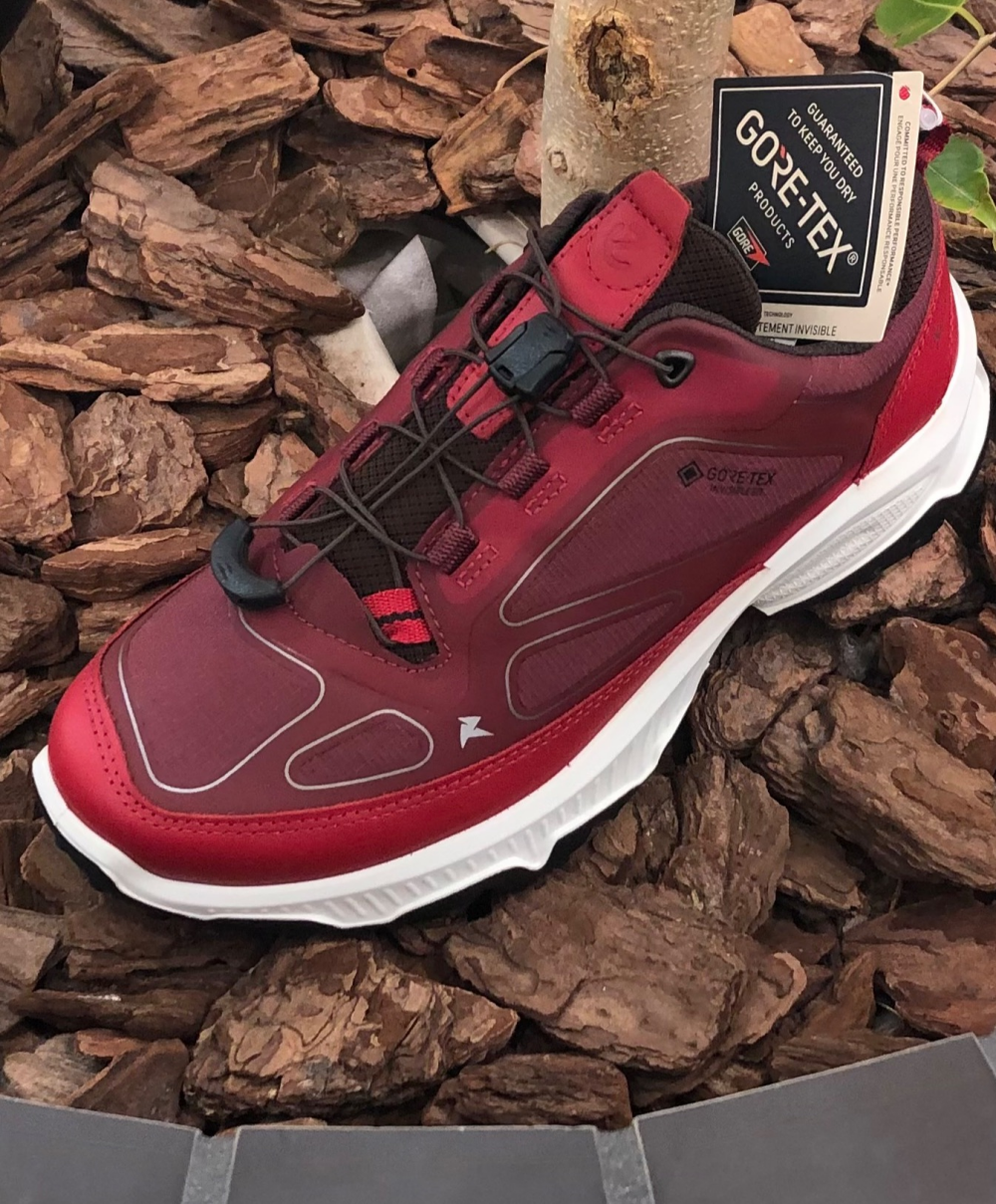 ECCO🍂 秋の新作スニーカー👟