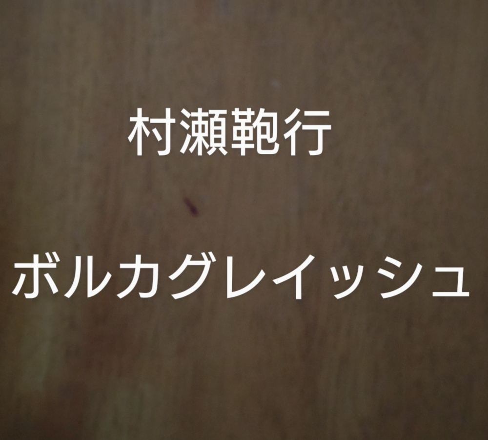 ボルカグレイッシュ
