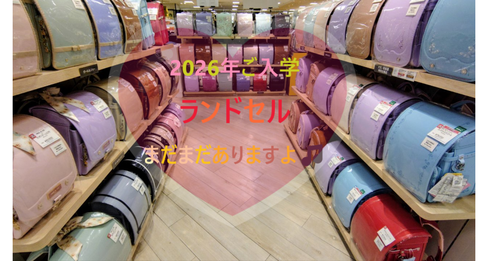 ２０２６年度新入学のランドセル🎒まだ沢山見れます🎶