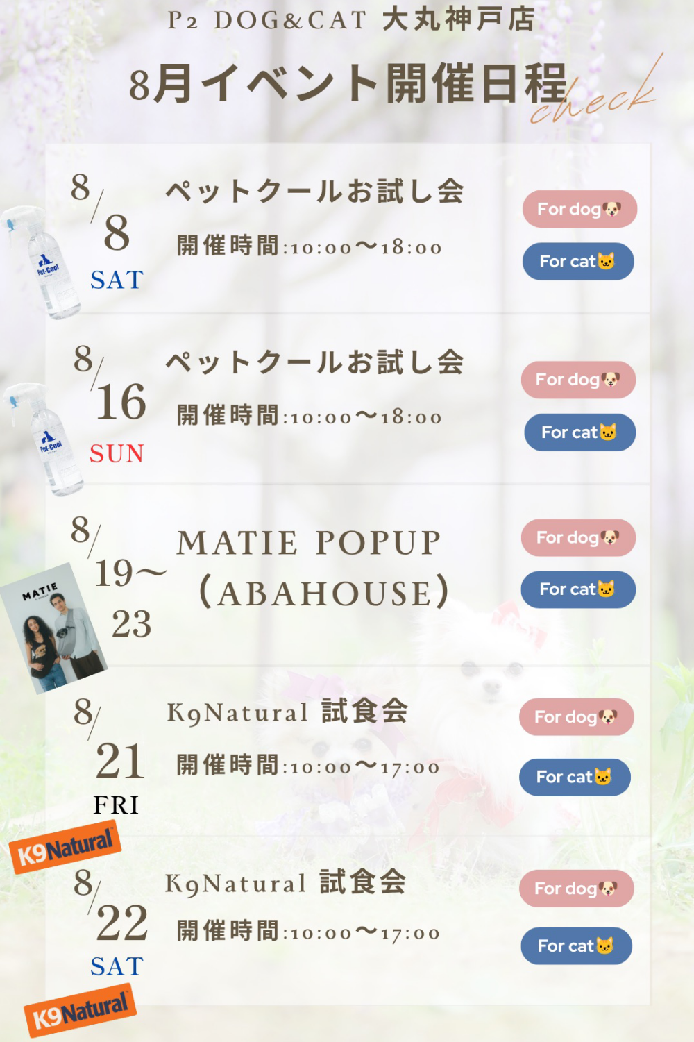 8月イベント開催のお知らせです🎶