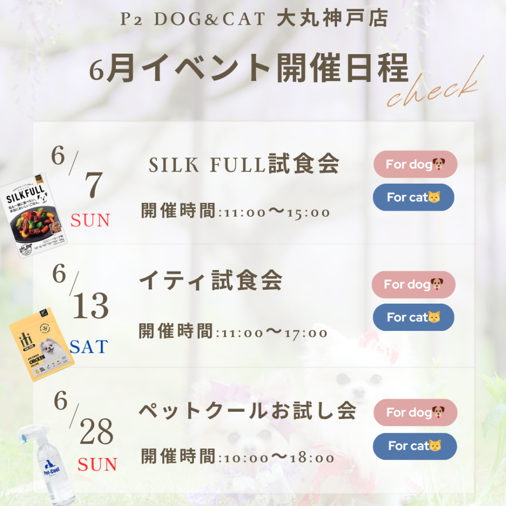 6月イベントのお知らせです🎶
