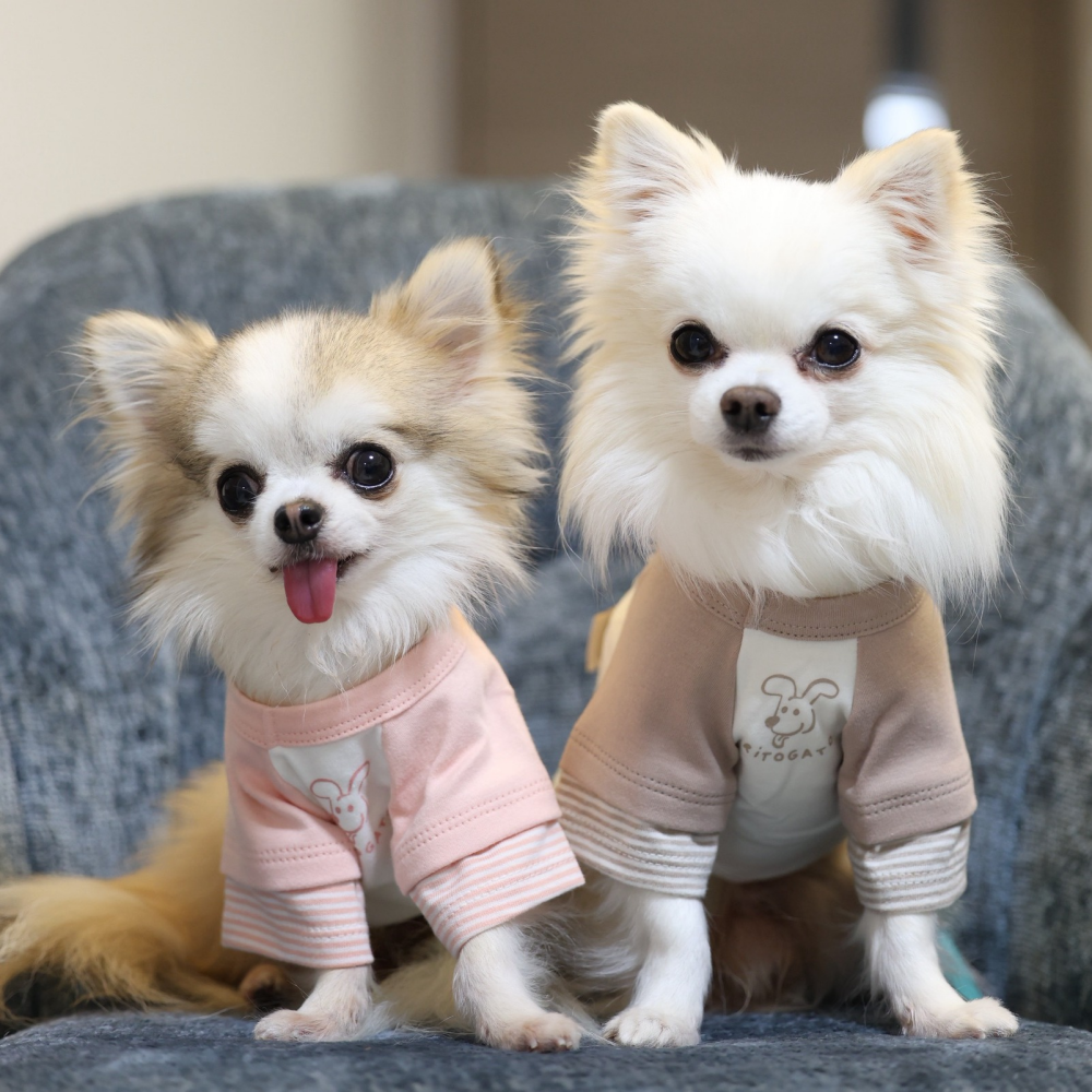 韓国メーカー『RITOGATO』のアイテムのご紹介です。